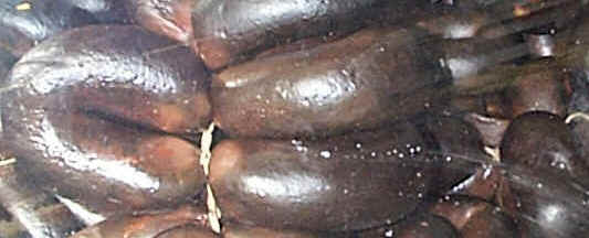 black puddings